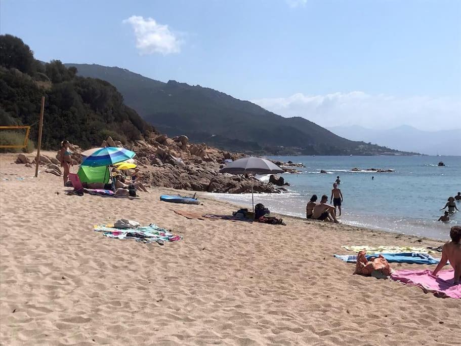 Bel App T2 En Bord De Mer Vue Sanquinaires Piscine Ajaccio  Exterior foto